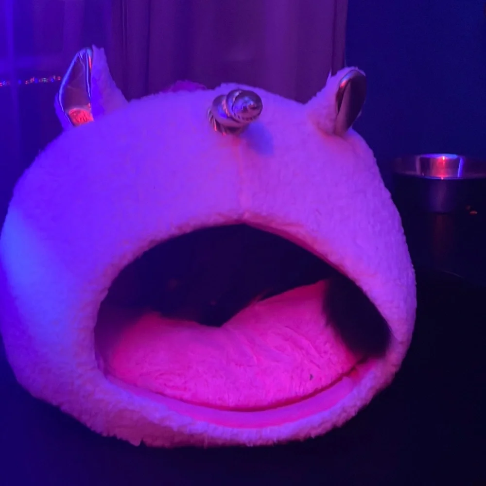UNICORN CAT BED 🐈⬛